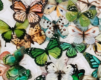 40 stickers papillons PET transparents beige et vert