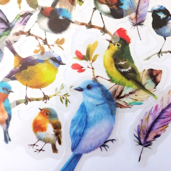 20 stickers oiseaux transparents  - Stickers PET transparent mix oiseaux