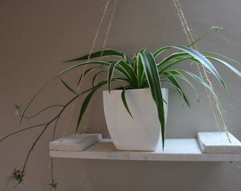 Reclaimed Wooden Shelf, string, twine, hanging indoor plant display