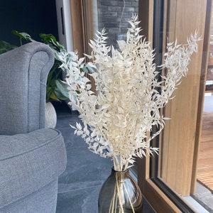 Ruscus weiß, getrocknet, Trockenblumen, DIY, Strauß, Valentinstag, Geschenk, Hochzeitsdeko, Wohnzimmerdeko, Tischdekoration