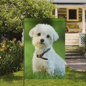 Personalized Photo flag, Design Yourself Garden Flag, Dog's Name Garden Flag, Welcome Yard Flag, Pet-lover Gift, Yard Decor with Photo