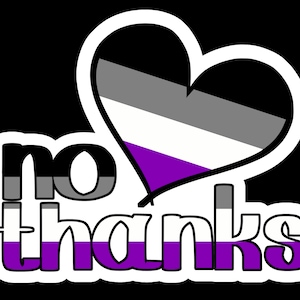 No Thanks Aromantic / Asexual Pride Sticker