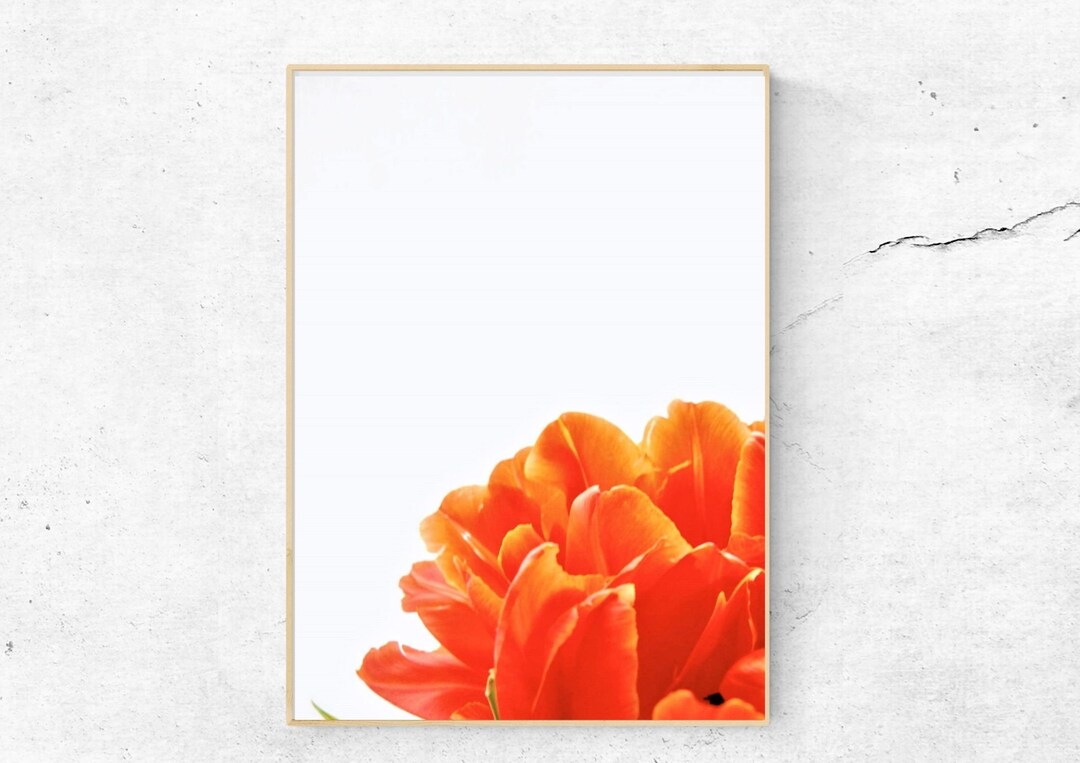Orange Flower Wall Art Vibrant Minimalist Printable Wall Art Etsy