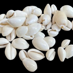 Natural White Cowrie Shells, Polished Kauri Sea Shell, Loose Shells for Pendant Making, Necklace Craft, Jewelry Making Supplies
