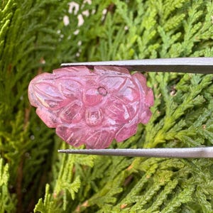 Può includere: Una pietra preziosa rosa traslucida intagliata a forma di fiore con dettagli intricati sui petali. La pietra è tenuta da una pinzetta in metallo argentato, che mette in risalto la sua superficie sfaccettata e la vivace tonalità magenta.