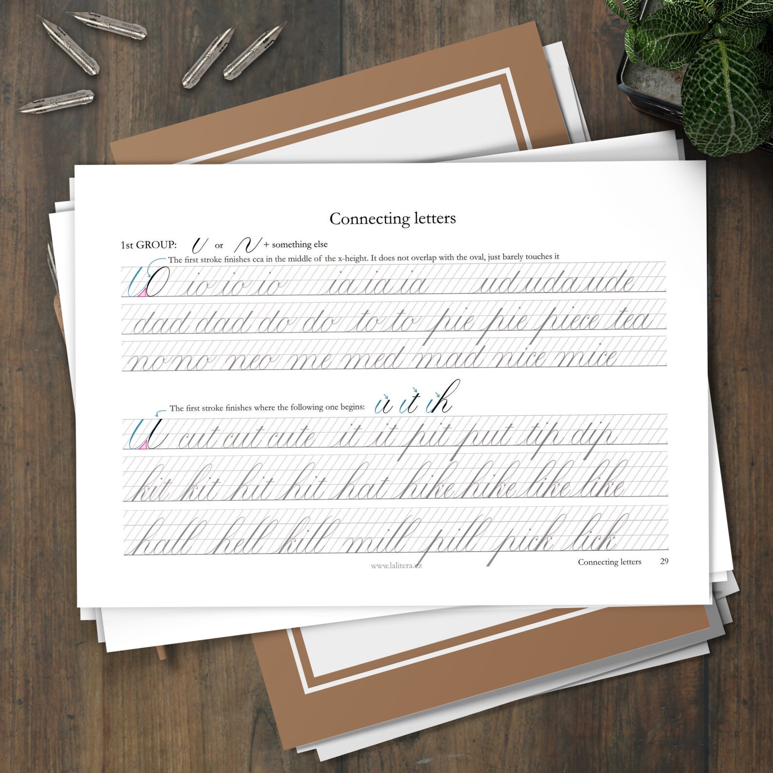 Copperplate Calligraphy Workbook part I Minuscules - Etsy
