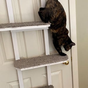 Pode incluir: Prateleira branca para gatos fixada a uma porta. A prateleira tem vários níveis com superfícies cinzentas alcatifadas. Um gato tartaruga, com pelo castanho, preto e laranja, está a escalá-la.