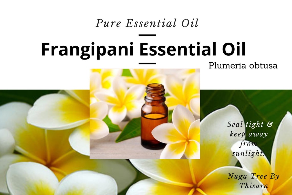 Frangipani essential oil/ 50 ml 1.70 oz / 100 Pure Etsy