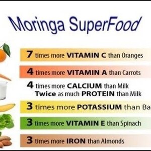 May include: A colorful infographic titled "Moringa SuperFood" lists the nutritional benefits of moringa compared to other foods. It shows that moringa has 7 times more vitamin C than oranges, 4 times more vitamin A than carrots, 4 times more calcium than milk, twice as much protein as milk, 3 times more potassium than bananas, 3 times more vitamin E than spinach, and 3 times more iron than almonds.