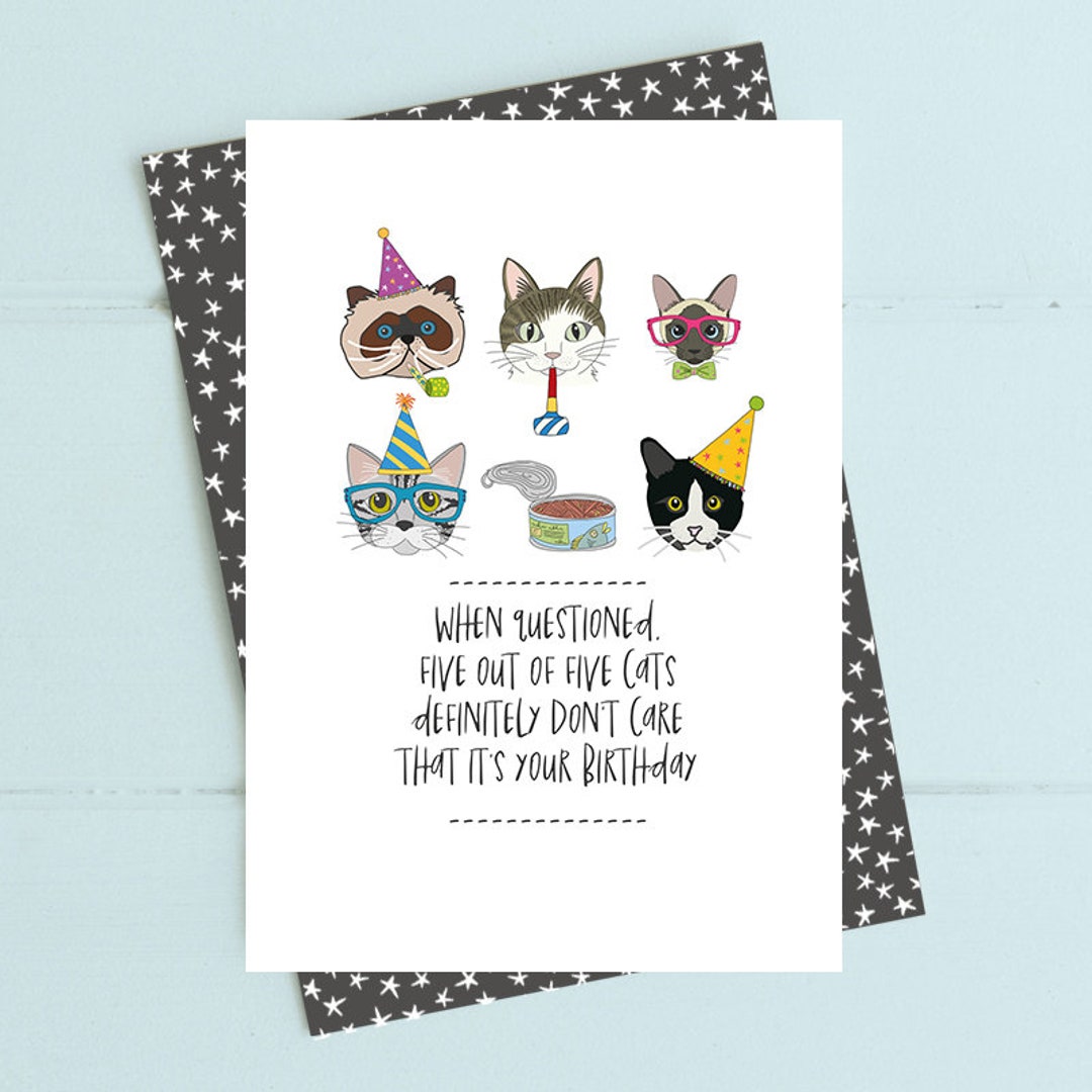 Funny Cat Birthday Card (FL513) Sarcastic Birthday - Sassy Birthday ...