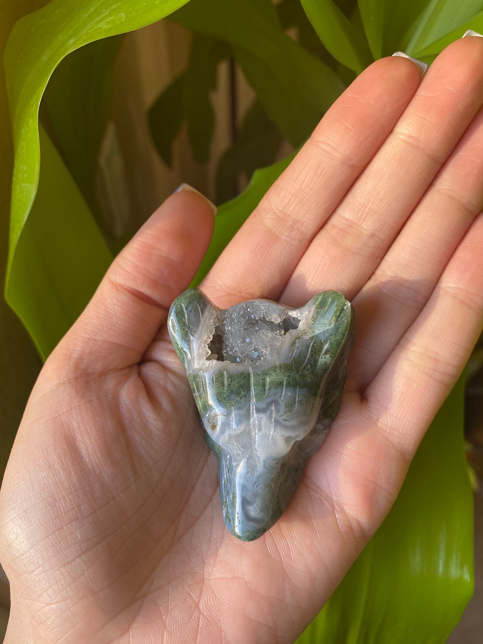 Moss Agate Carving Crystal Wolf Wolf Head Moss Agate | Etsy