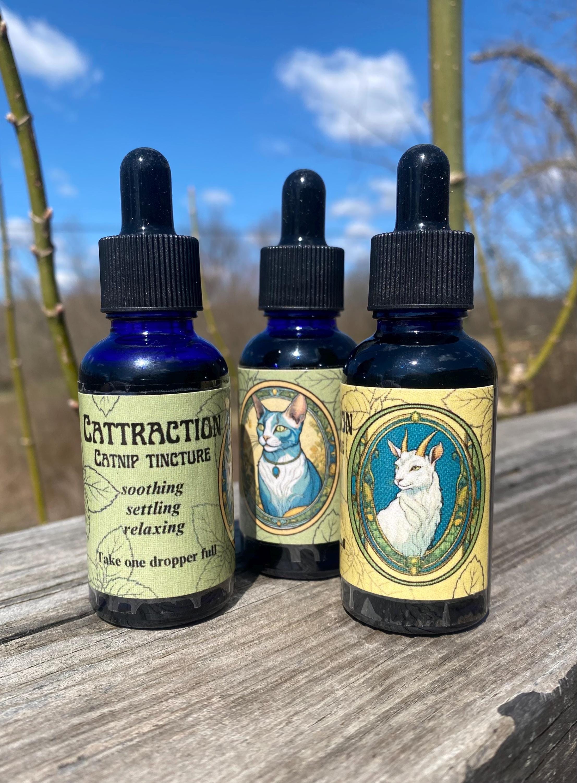 Cattraction Catnip Tincture