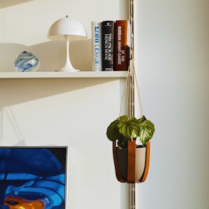 May include: A white lamp with a white shade sits on a shelf with a blue and white glass orb.  A hanging planter with a brown leather strap holds a green plant.  The shelf has a row of books with titles including "Film Posters of the Russian Avant-Garde" and "The Package Design Book".