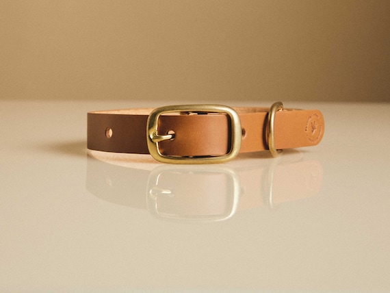 Craft Your Own Leather Pet Collar With Our DIY Kit – Made in London | Experience in a Box | Dog Collar Kit | Handmade Gift for Pet Lovers
