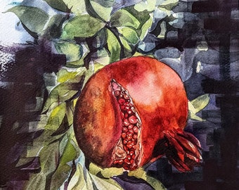 May include: A watercolor painting of a red pomegranate with seeds visible, hanging from a branch with green leaves against a dark background.