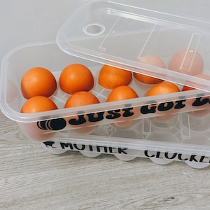 May include: A clear plastic egg container with a lid, holding several brown eggs. The container has the words "JUST GOT LAID" and "MOTHER CLUCKER" printed on it in black. The lid is partially open.