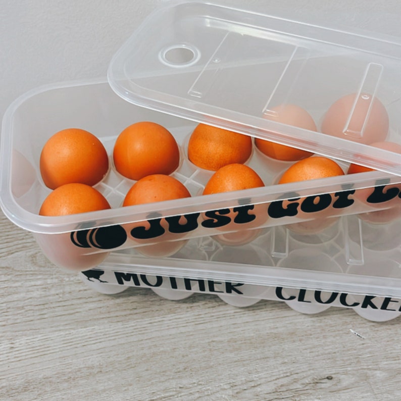May include: A clear plastic egg container with a lid, holding several brown eggs. The container has the words "JUST GOT LAID" and "MOTHER CLUCKER" printed on it in black. The lid is partially open.