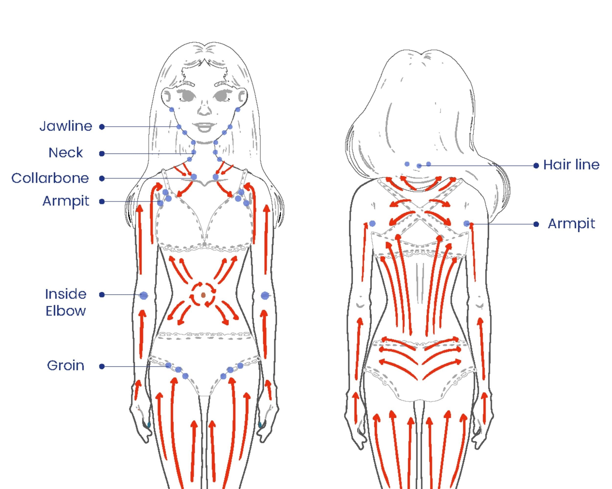 Body Brushing Chart Dry Body Brushing Guide Step by Step Dry Etsy