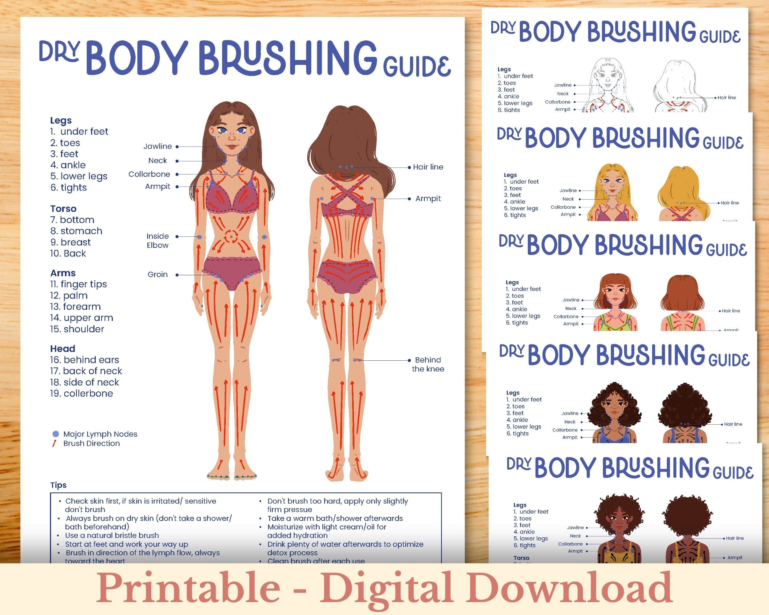 Laminated Full-Body Dry Brush Instruction Chart – The Healing Happy Method