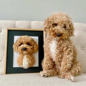 Custom Pet Hair Keepsake, Felted 3D Portrait Memorial Gift, Dog Cat Loss Remembrance, Personalized Birthday Home Decor, Poodle Portrait