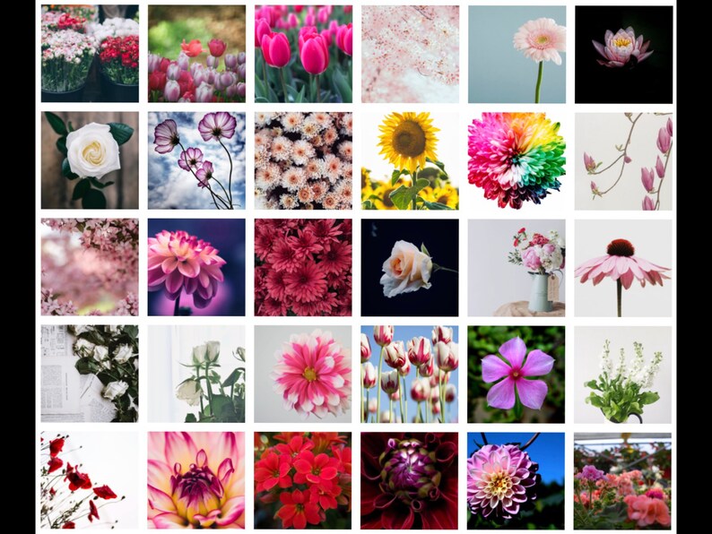 Aesthetic Collage Kit Flower 4x6 30 PCS Wall Art Diy Etsy