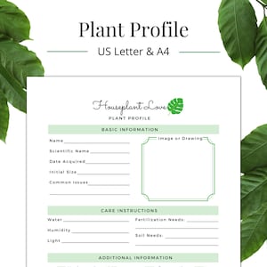 Amor por plantas de casa: perfil da planta