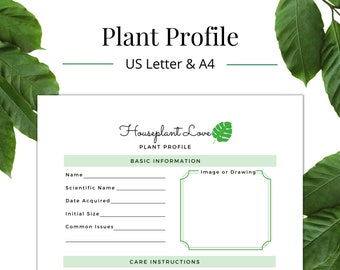 Houseplant Love: Plant Profile