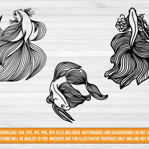 Betta fish SVG design bundle digital download, Betta fish cut files, svg jpg png dxf eps files