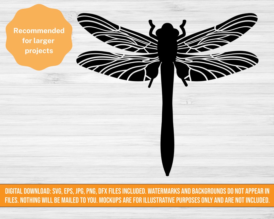 Dragonfly SVG, Dragonfly Cut File, Insect SVG, Insect Cut File