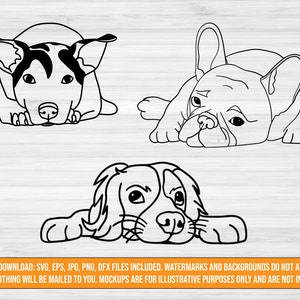 Dog SVG Bundle digital download, dog cut file bundle, svg jpg png dxf eps files