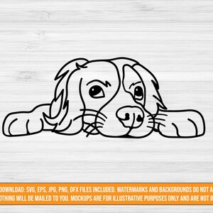King Charles Spaniel SVG digital download  | spaniel cut file | svg jpg png dxf eps files
