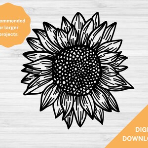 Sunflower SVG digital download  | Sunflower cut file | svg jpg png dxf eps files