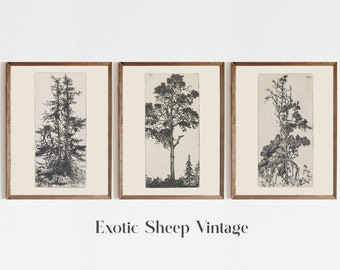 Tree drawing Set | Sketch Art | Vintage drawing | Antique sketch | Tree Sketch |  Gallery wall Art | Printable tree drawing #208