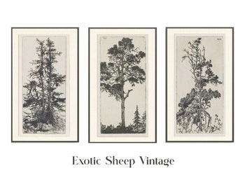 Sketch Art | Tree drawing | Vintage drawing | Antique sketch | Tree Sketch |  Gallery wall Art |  botanical art| Printable tree drawing #201