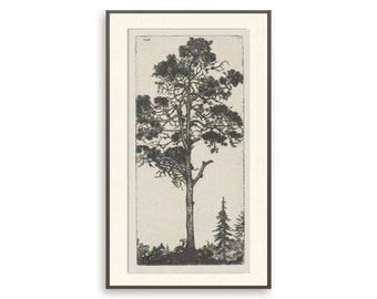 Vintage Tree Drawing | Sketch Art |  Pine Tree Sketch | Tree drawing | Antique sketch | Tree Sketch |  botanical art| Printable Art #201 II