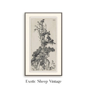 Vintage Tree Drawing | Sketch Art |  Pine Tree Sketch | Tree drawing | Antique sketch | Tree Sketch |  botanical art| Printable Art #201 III