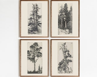 Etching Tree Art | Sophisticated Sketch Art | Sketch Gallery Wall | Tree Sketch |  Antique Tree Drawings | Printable art #208-SS4