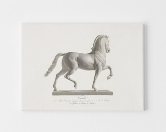 Horse Print | Equestrian Print | Horse Drawing | Horse Sketch | Nursery Art Boys | PRINTABLE Art #184R