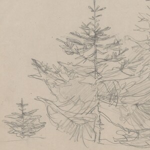 May include: A pencil sketch of three pine trees. The trees are drawn in a simple, stylized manner, with the branches and needles indicated by lines. The trees are set against a light background.