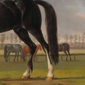 Equestrian Print | Black Horse Oil Painting | Horse Drawing | Horse Print | Farmhouse Wall Art | Vintage Prints | PRINTABLE Art #26 image 5