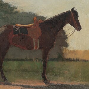 Puede incluir: Un caballo marr&oacute;n con una silla de montar se encuentra en un campo. El caballo est&aacute; mirando hacia la derecha y lleva una brida. El fondo es un campo verde borroso con &aacute;rboles en la distancia.