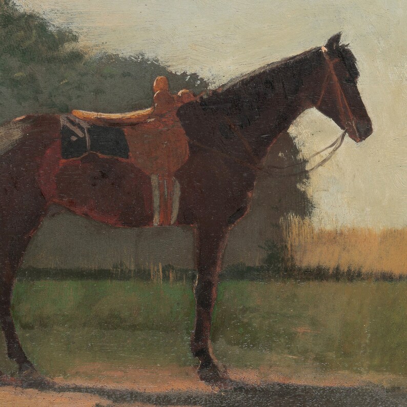 Puede incluir: Un caballo marr&oacute;n con una silla de montar se encuentra en un campo. El caballo est&aacute; mirando hacia la derecha y lleva una brida. El fondo es un campo verde borroso con &aacute;rboles en la distancia.