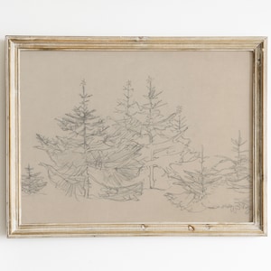 May include: A framed pencil drawing of a group of trees in a forest setting. The trees are drawn in a simple, stylized manner, with their branches and leaves forming a delicate pattern. The drawing is done on a light brown paper and is framed in a simple, light wood frame.