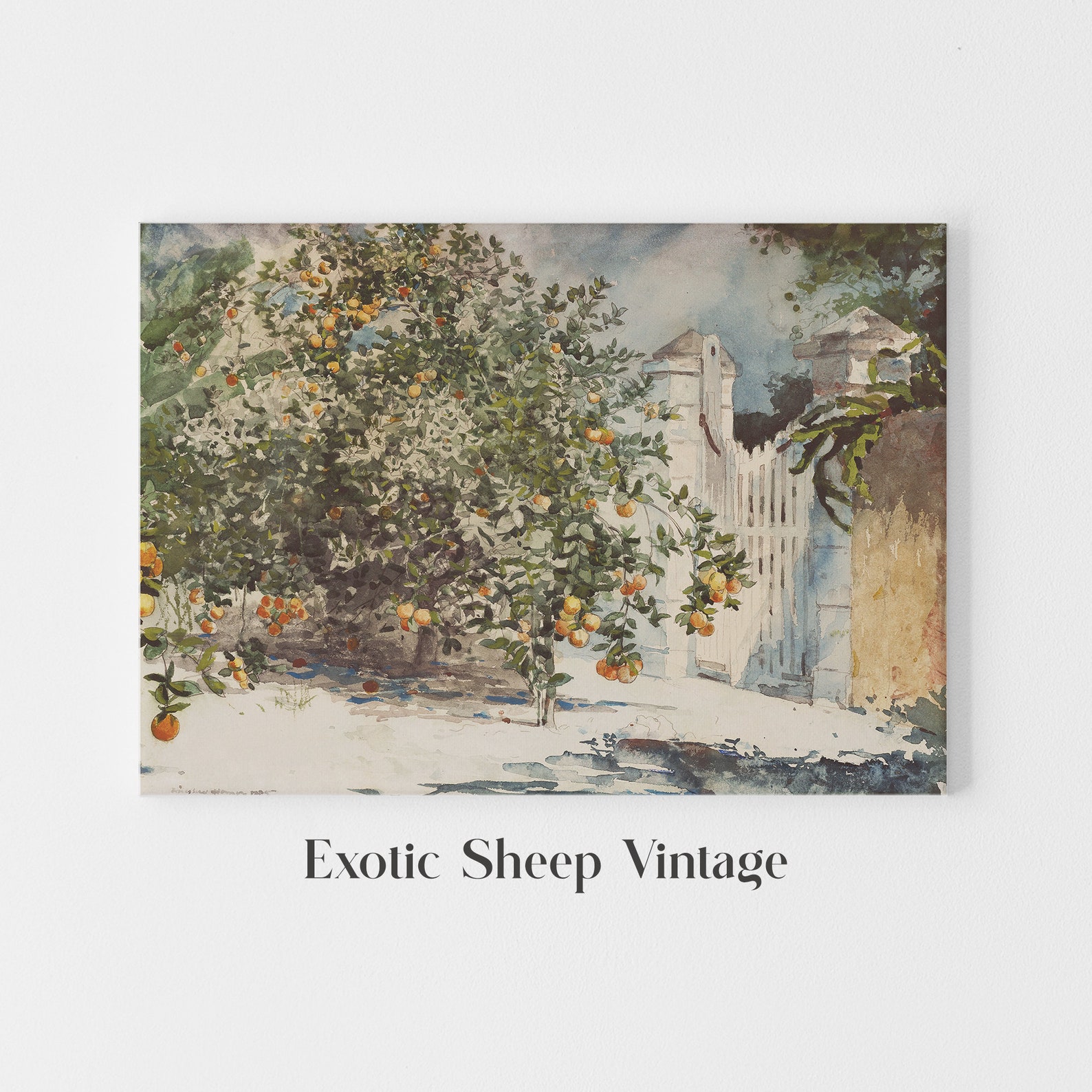 Spanish Kitchen Decor Orange Tree Vintage Watercolor - Etsy