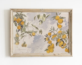 Decoración de cocina de granja / Decoración de limón / Arte vintage imprimible / Arte de pared de cocina de cabaña / Impresión de pintura de frutas / Arte botánico antiguo #131