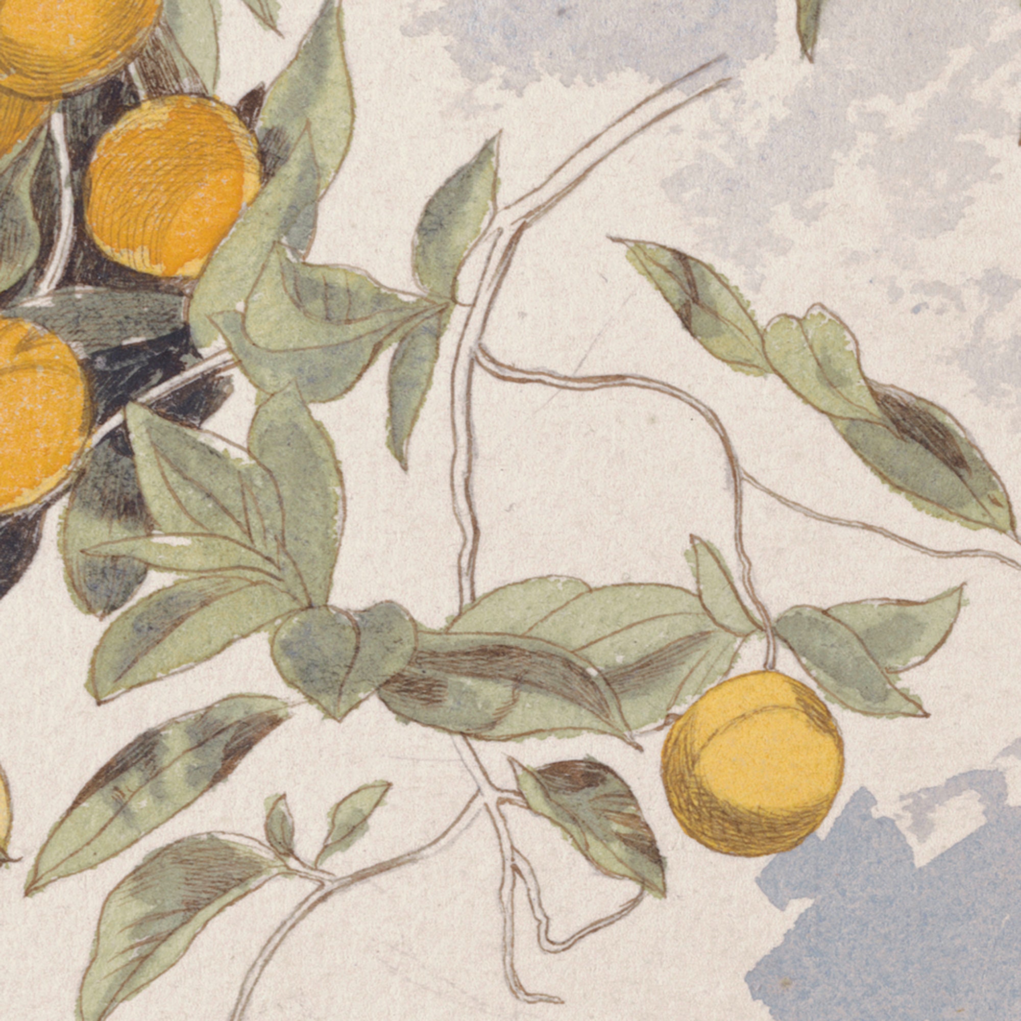 Farmhouse Kitchen Decor | Lemon Decor | Printable Vintage Art | Cottage ...
