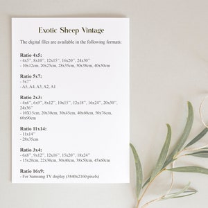 May include: A white sheet of paper with black text listing different aspect ratios and their corresponding sizes in inches and centimeters. The text includes the title "Exotic Sheep Vintage" and the phrase "The digital files are available in the following formats:"