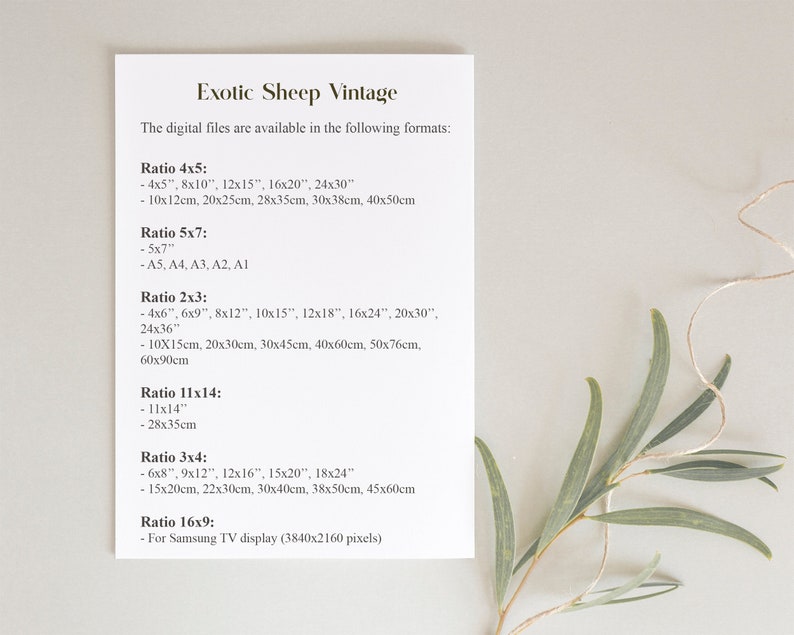 May include: A white sheet of paper with black text listing different aspect ratios and their corresponding sizes in inches and centimeters. The text includes the title "Exotic Sheep Vintage" and the phrase "The digital files are available in the following formats:"