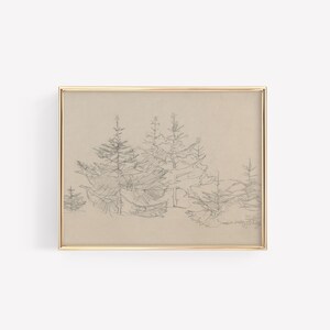 May include: A framed pencil drawing of a group of pine trees in a forest setting. The drawing is on a beige background and is framed in a gold frame.