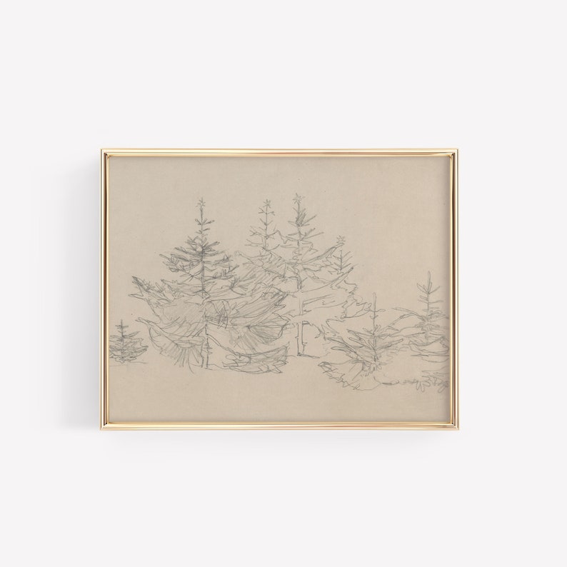 May include: A framed pencil drawing of a group of pine trees in a forest setting. The drawing is on a beige background and is framed in a gold frame.